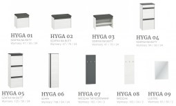 Hyga01