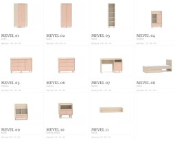 Mevel09